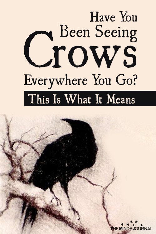 spiritual meaning of seeing crows