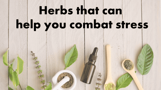 Herbs That Can Help You Combat Stress