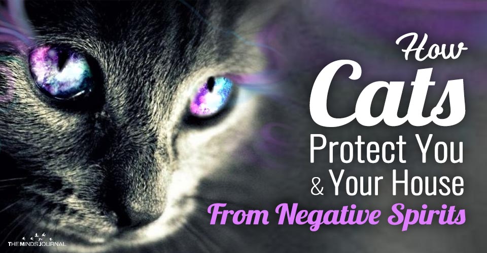 How Cats Protect You and Your House From Negative Spirits