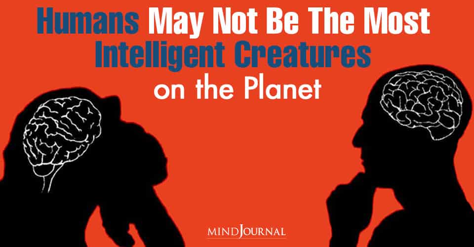 Humans May Not Be the Most Intelligent Creatures on the Planet