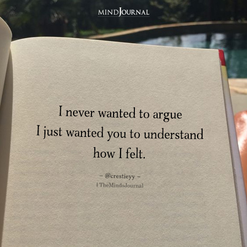 I Never Wanted To Argue I Just Wanted You To Understand