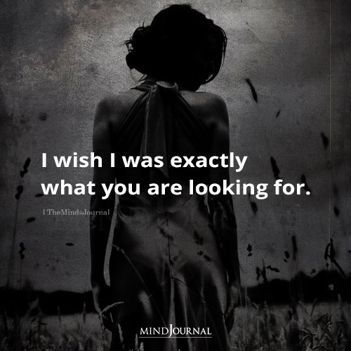 I Wish I Was Exactly What You Are Looking For