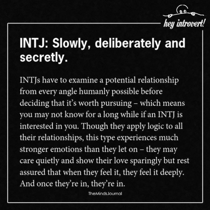 intj relationships