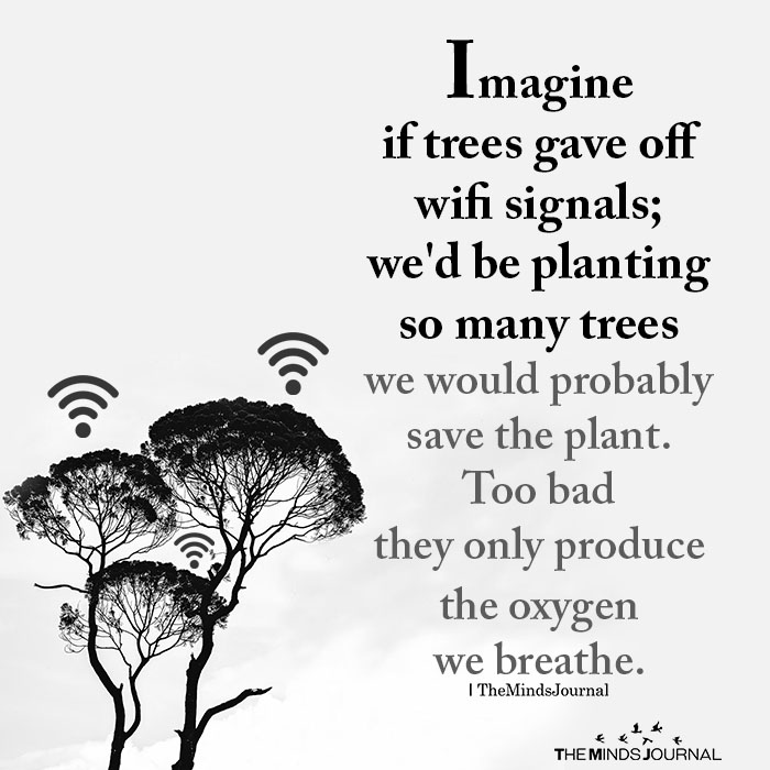 Imagine If Trees Gave Off WiFi Signals