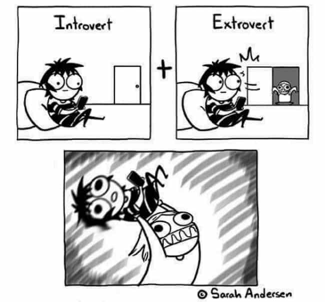 introvert vs extrovert