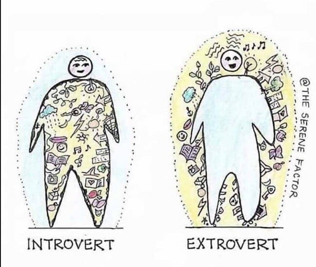 introvert vs extrovert