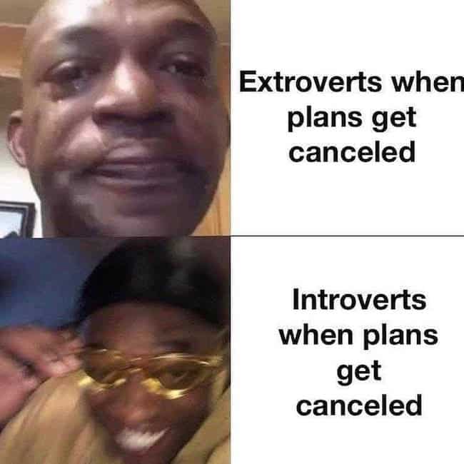 introvert vs extrovert