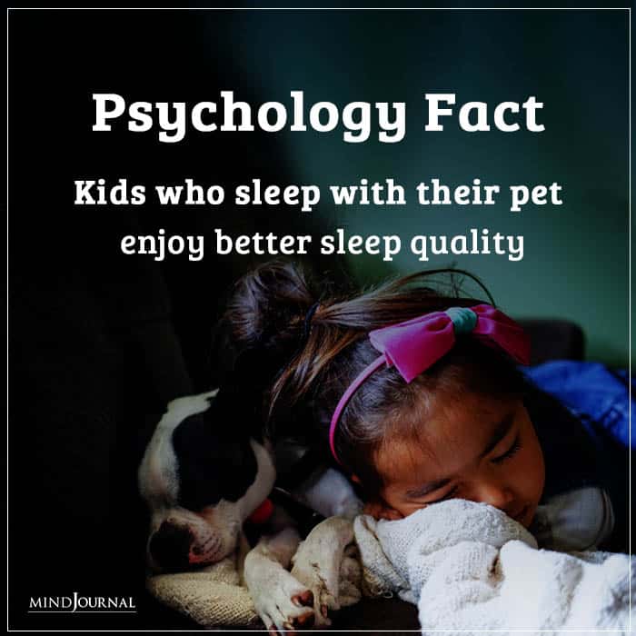 Kids who sleep with their pet enjoy better sleep quality