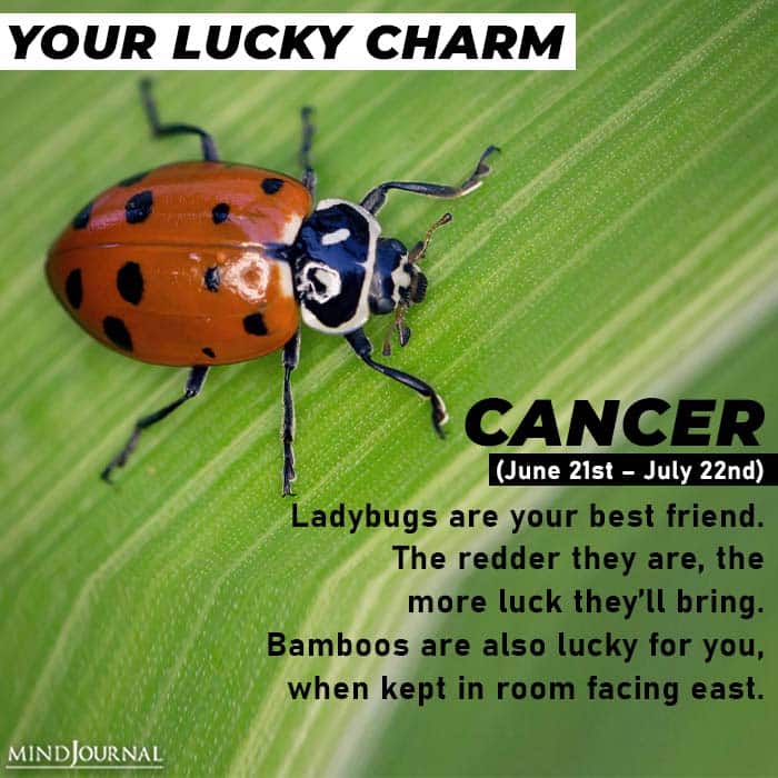 zodiac lucky charm