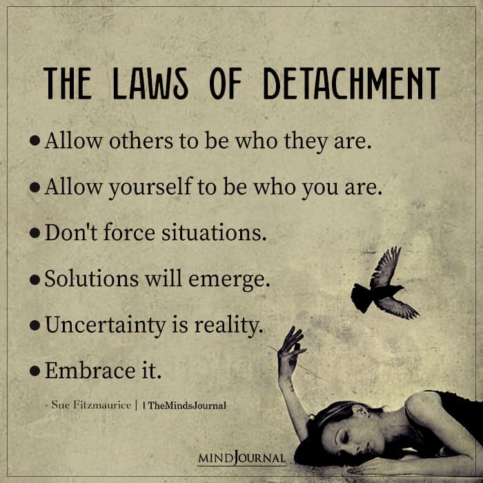 The Laws Of Detachment