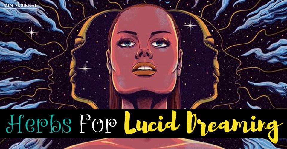 8 Legal Psychedelics And Mystical Herbs For Lucid Dreaming