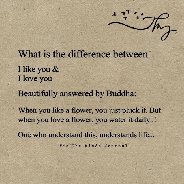 The Difference Between Liking And Loving