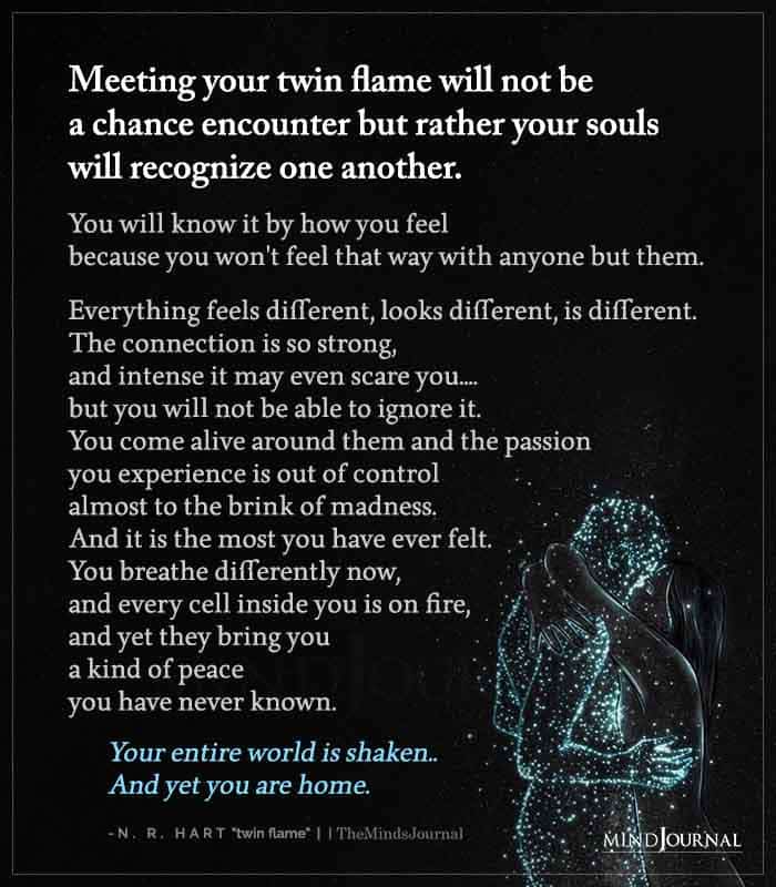 facts about twin flames