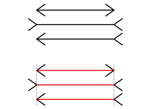 schizophrenia optical illusion