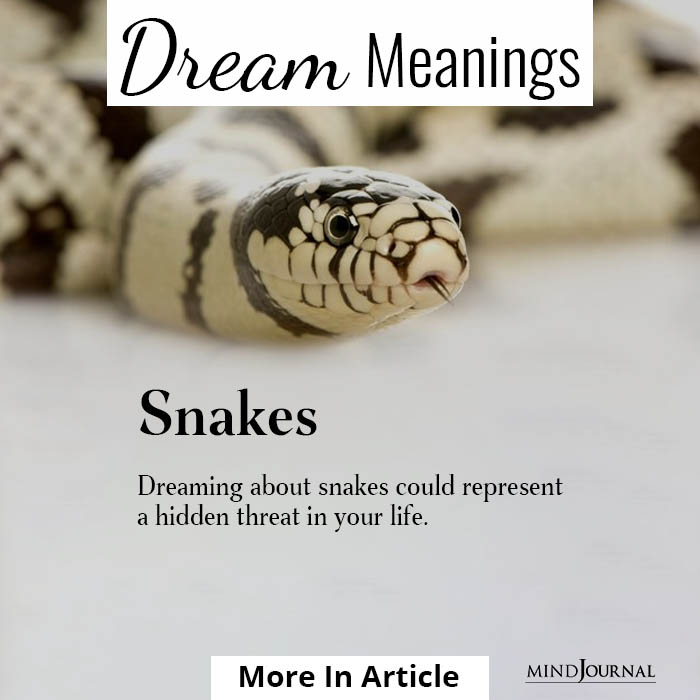 spiritual meaning of snakes