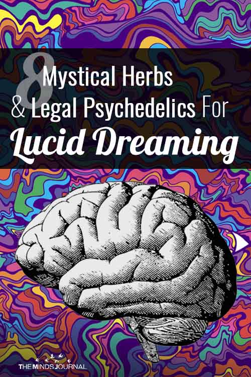 herbs for lucid dreaming
