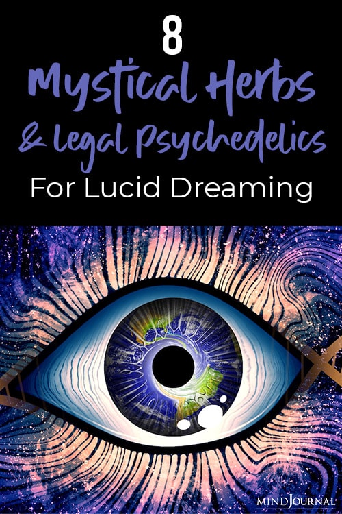 herbs for lucid dreaming