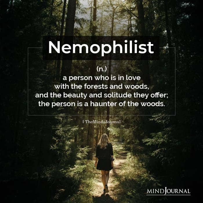Nemophilist: A Person Who Is In Love With The Forests