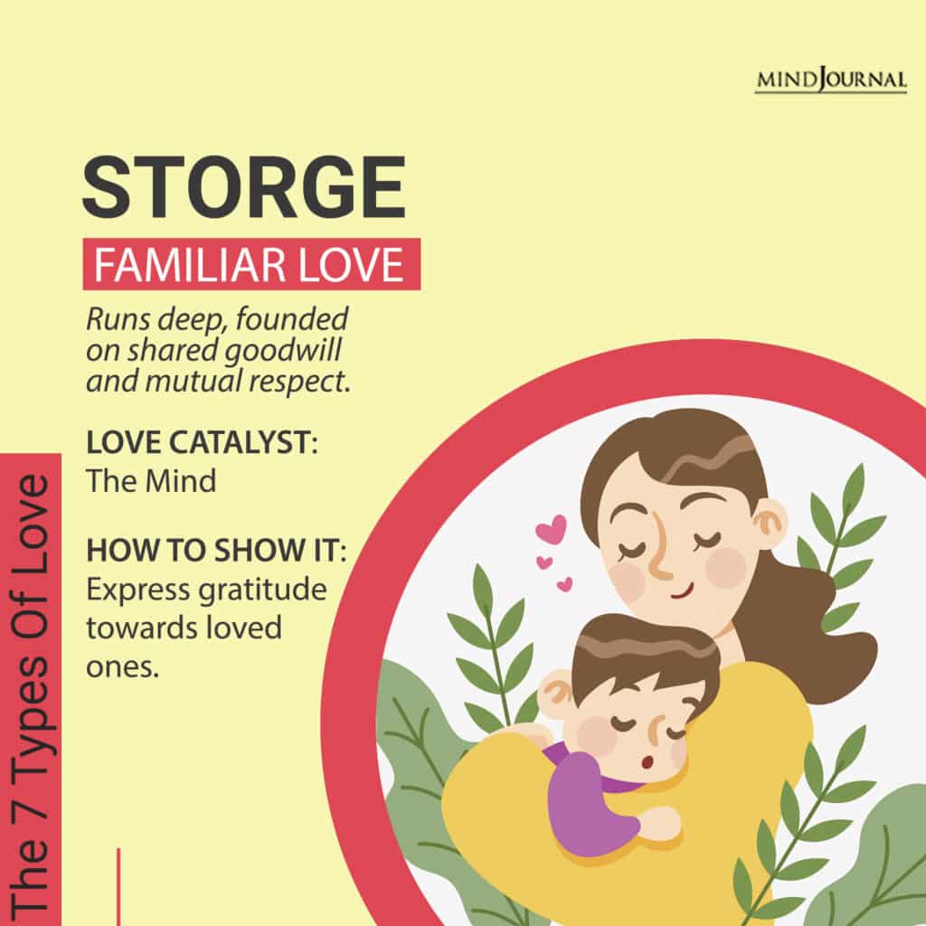 What Is Storge Love: How It Shapes Our Deepest Connections