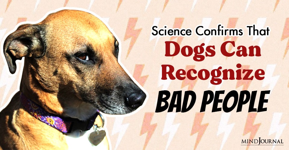 Science Confirms That Dogs Can Smell Bad People