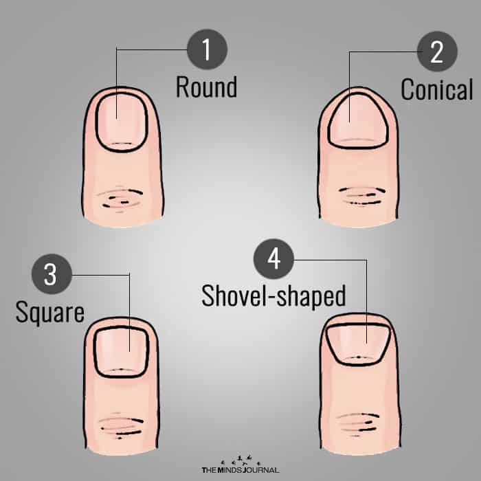 Shape of fingertips 