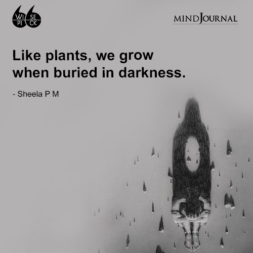 Sheela P M Like plants