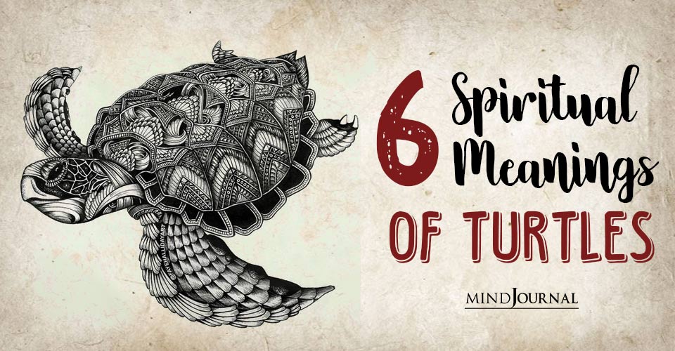 Spiritual Meaning Of A Turtle: 6 Secret Symbolism And Totems