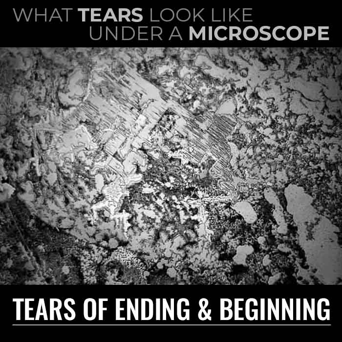 Tears of ending and beginning by rose-Lynn Fishe