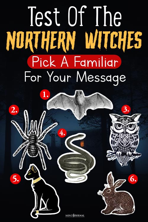 Test of Northern Witches pin