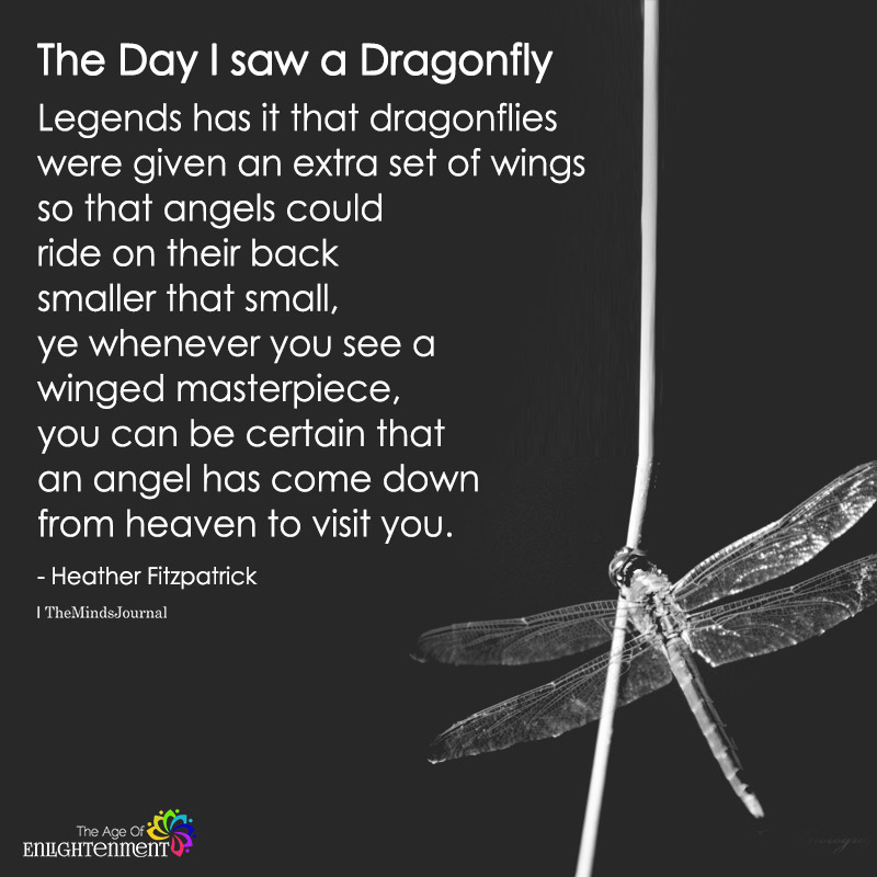 spiritual meaning of dragonfly