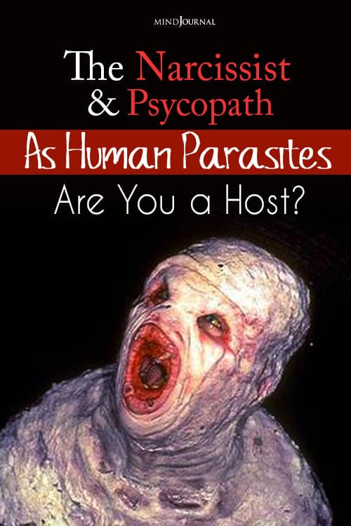 The Narcissist and Psychopath pin