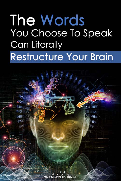 Your Brain