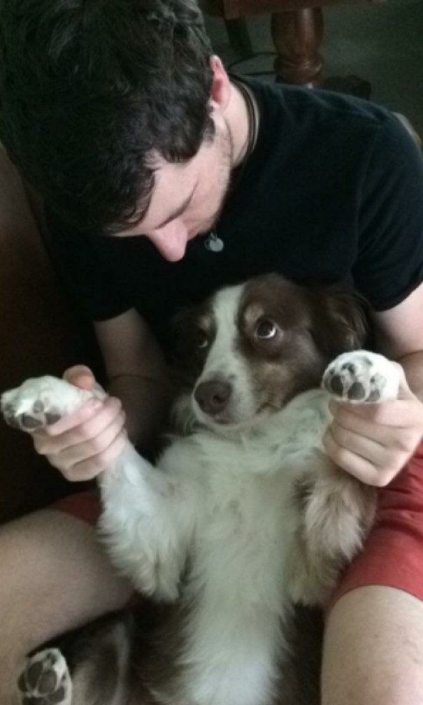 Pets Stole Owner’s Partner