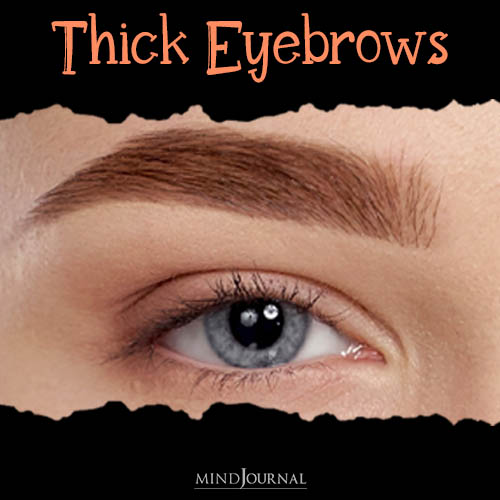 eyebrow shape personality test