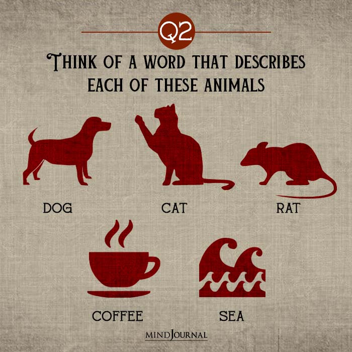 Think of word that describes each of animals