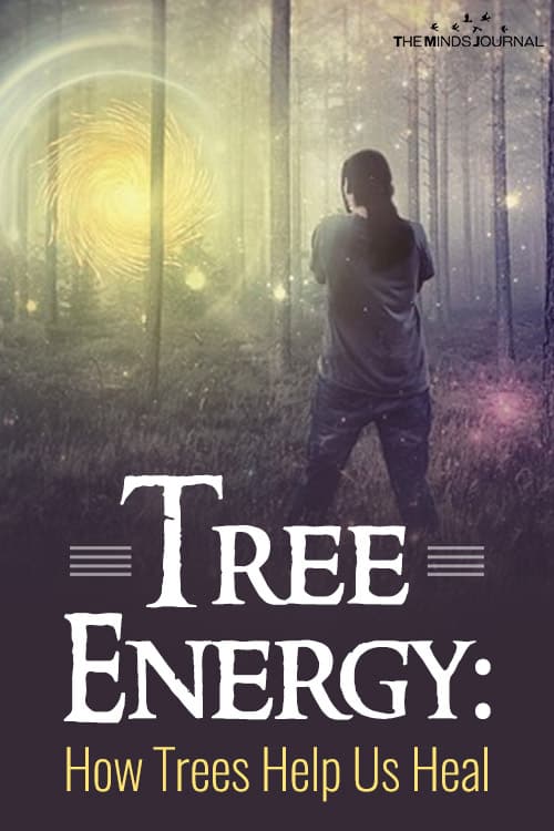 Tree Energy