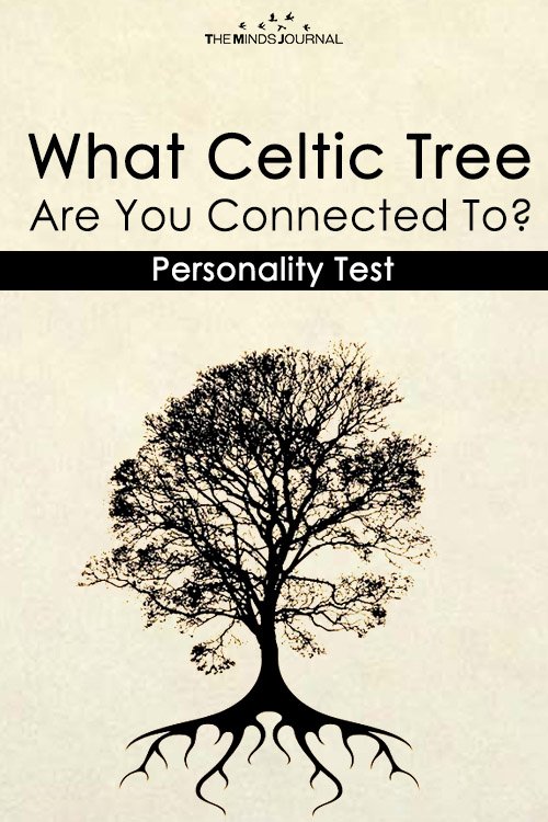  Celtic Tree Personality