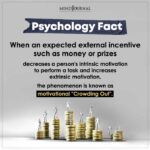 When An Expected External Incentive