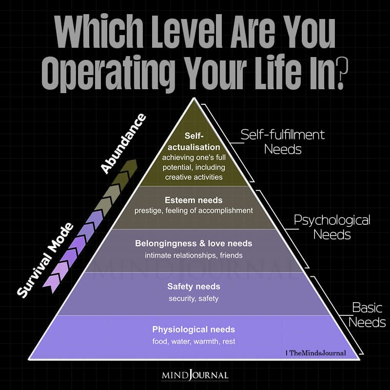 Which Level Are You Operating Your Life In?