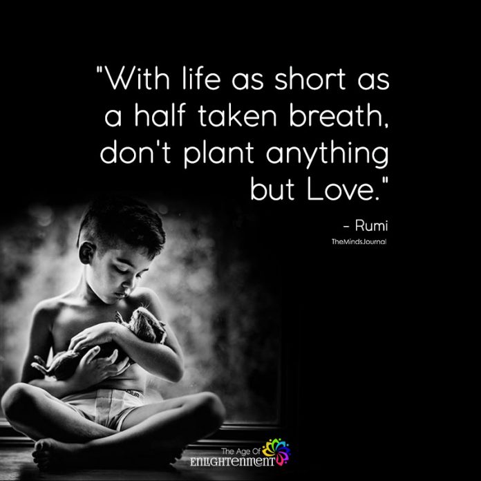 Advice From a Dying Man