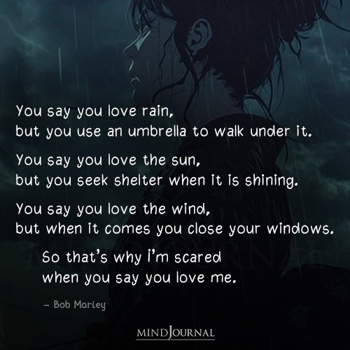 You Say You Love Rain