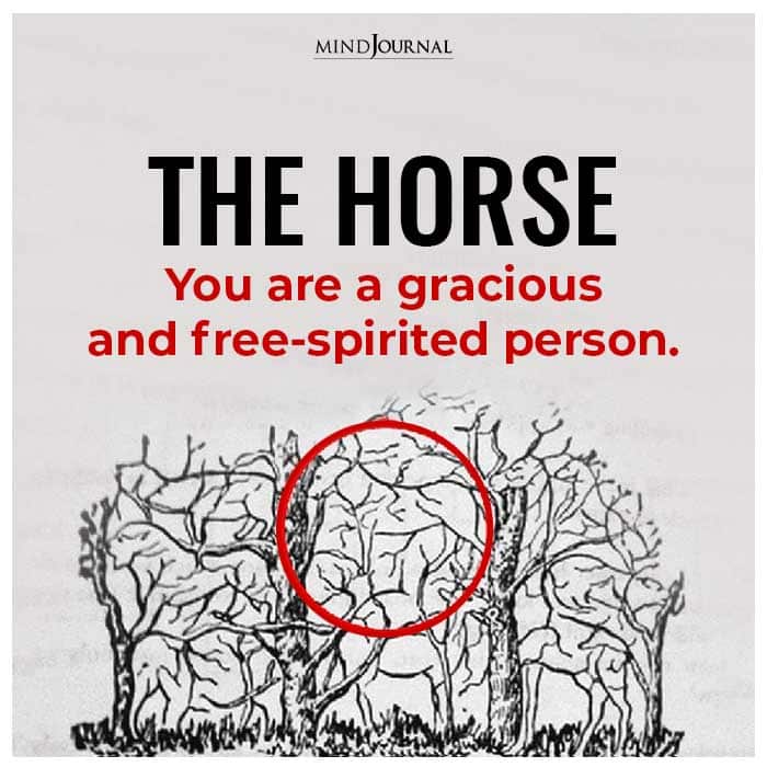 the horse