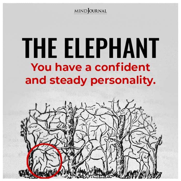 the elephant