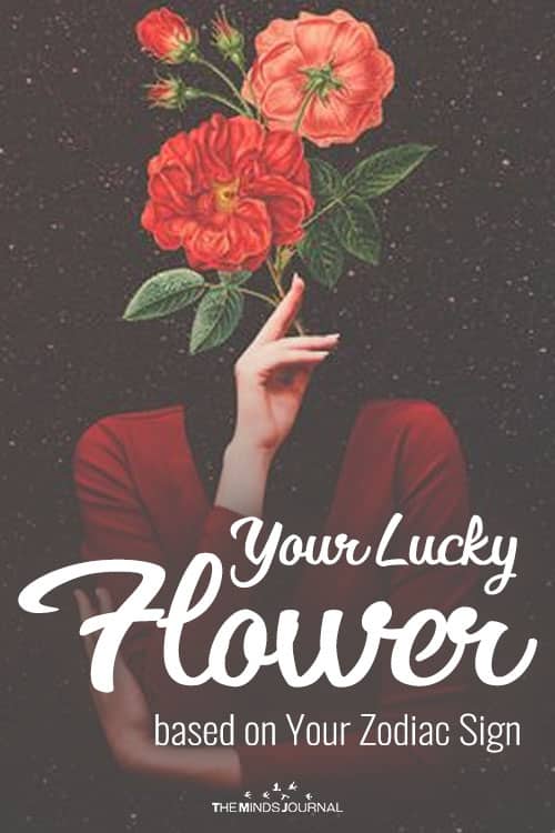 Your Lucky Flower based on Your Zodiac Sign