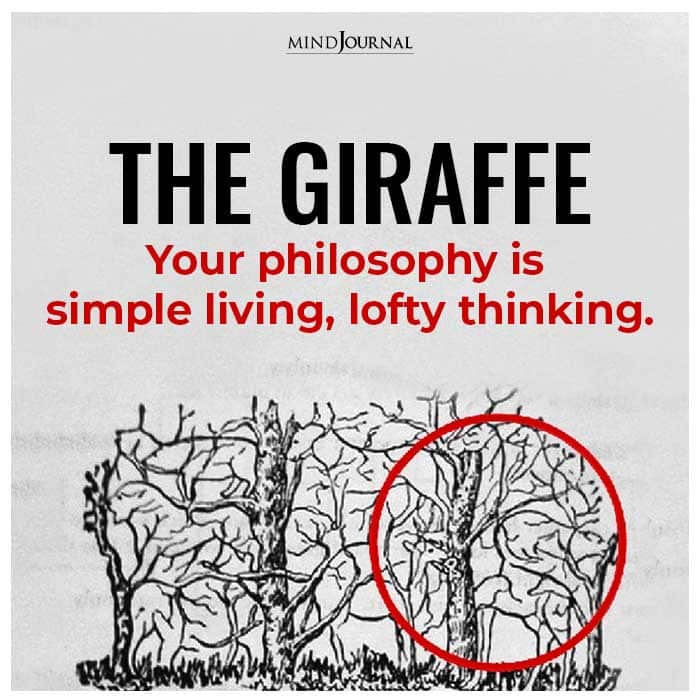 the giraffe