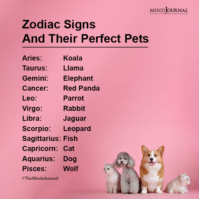 Zodiac-Signs-And-Their-Perfect-Pets-2.jpg