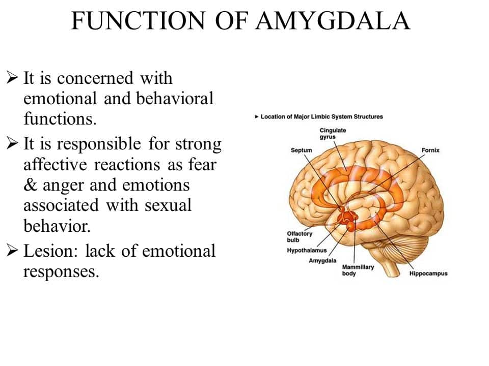 Emotional muscle memory