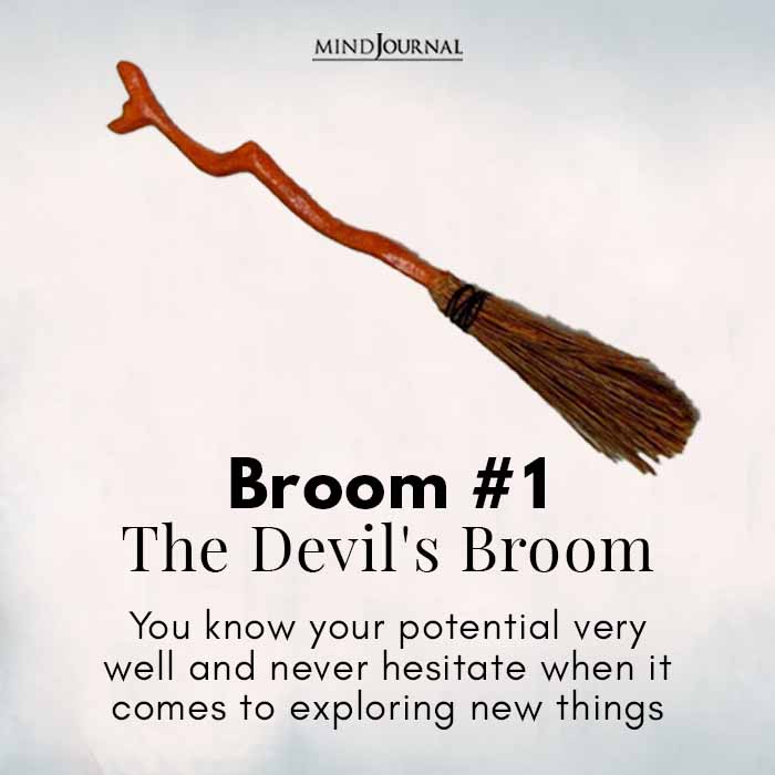 What kind of witch are you broom 1