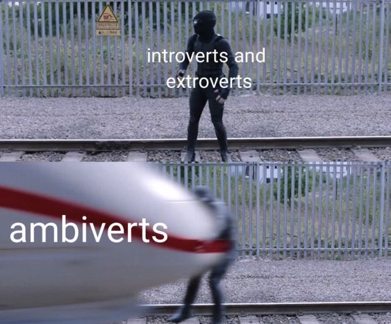 ambivert memes