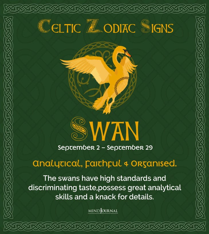 celticswan
